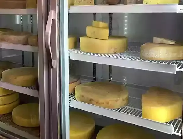 cheese plus nepal image