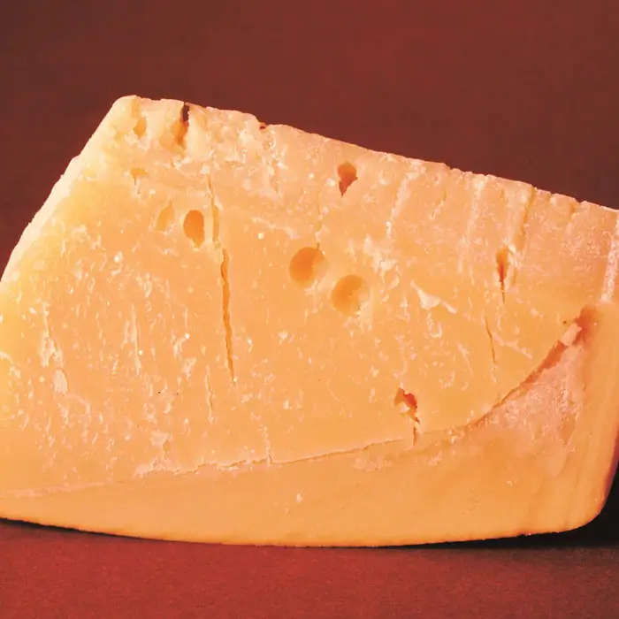 cheese photo